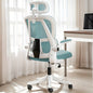 Ergonomic Office Chair
