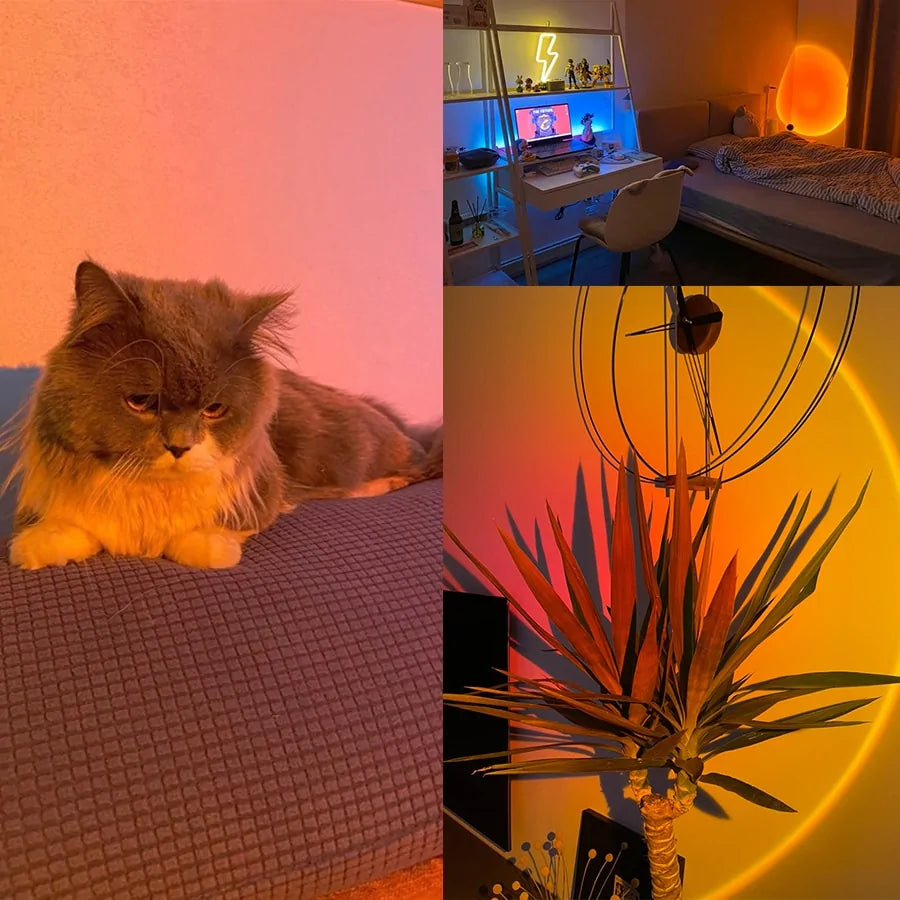 Ambience Lighting