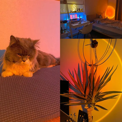Ambience Lighting