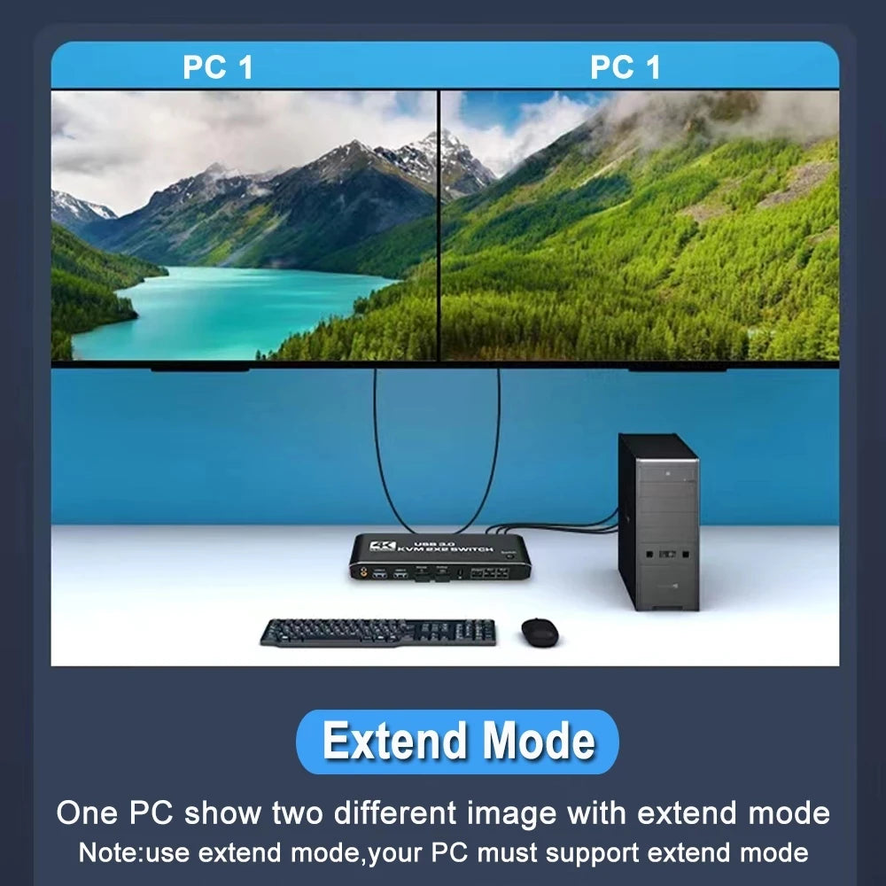 2 In 2 Out KVM Switch