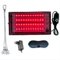 Red Light Therapy