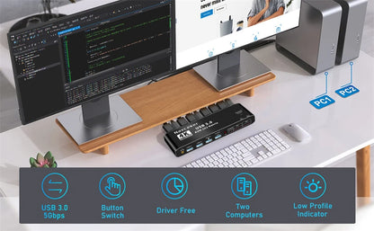 2 In 2 Out KVM Switch