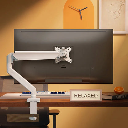 Monitor Mount