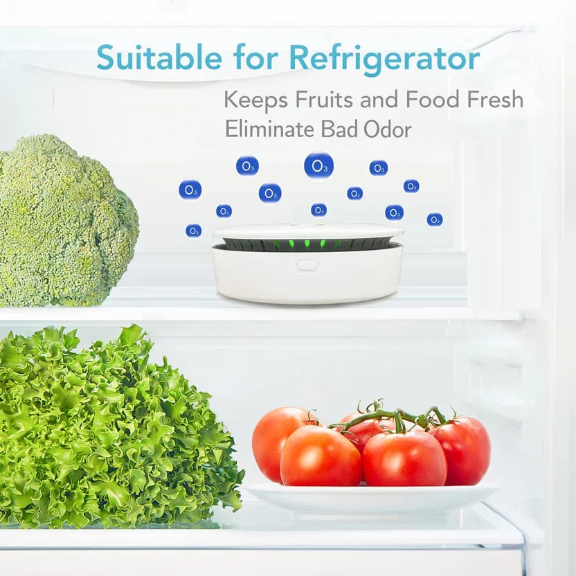 Portable Air Purifier