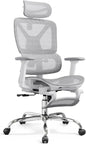 Ergonomic Office Chair