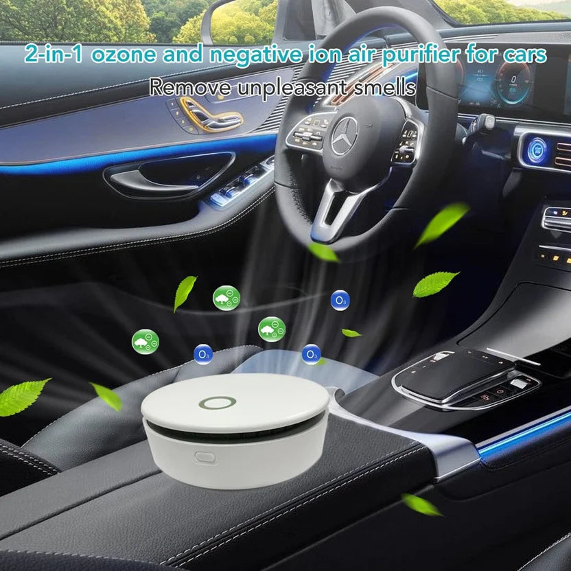 Portable Air Purifier