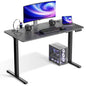 Electric Standing Desk