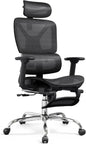 Ergonomic Office Chair
