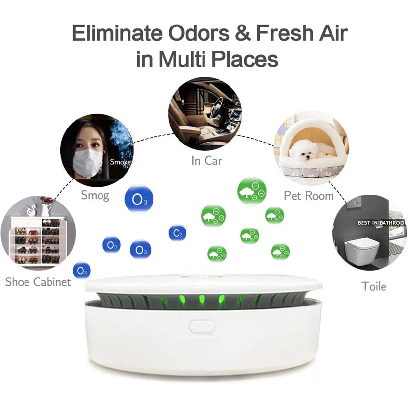Portable Air Purifier