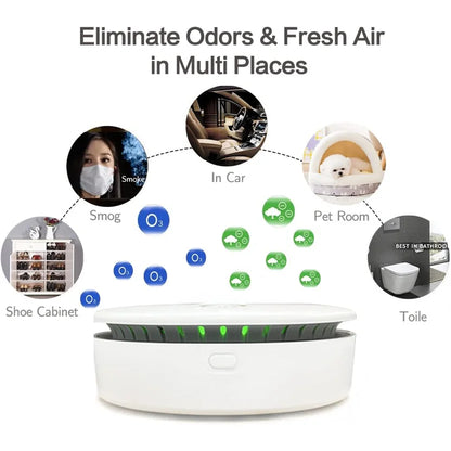 Portable Air Purifier