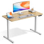 Electric Standing Desk