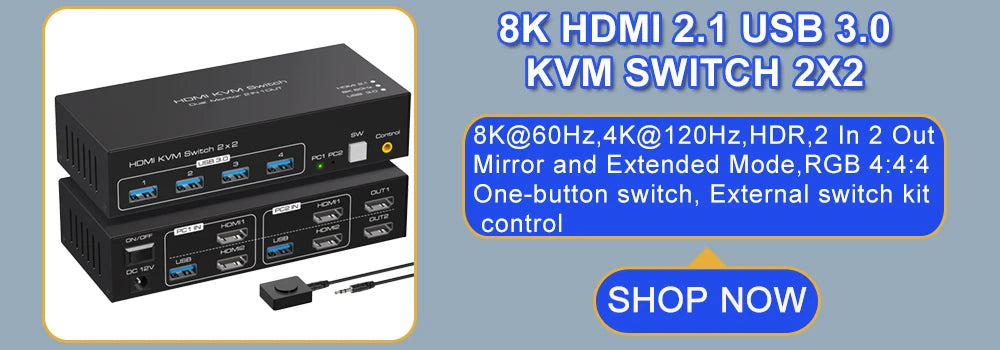 2 In 2 Out KVM Switch