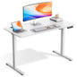 Electric Standing Desk