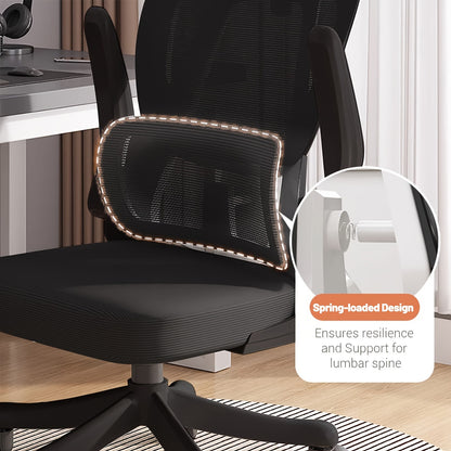 Ergonomic Office Chair